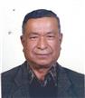 puspa.jpg